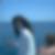 Photo de profil de David Bellencontre
