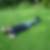 Photo de profil de Pierre Kingold