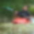 Photo de profil de Richard Schwetterle
