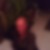 Photo de profil de Eric Posocco