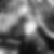 Photo de profil de Francis Chevaillier