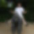 Photo de profil de Yves Dadure