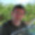 Photo de profil de Denis Petit