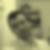 Photo de profil de Dominique Morisset