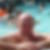 Photo de profil de Anthony Meunier