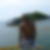 Photo de profil de David Icaze