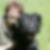 Photo de profil de Evelyne duffour