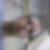 Photo de profil de Maxence Charlois