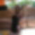 Photo de profil de Céline Picard
