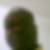 Photo de profil de Nicolas Anani K. Amouh