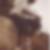 Photo de profil de Mbonimana Alex