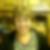 Photo de profil de Sylvie Bodin