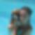 Photo de profil de Aveline Cornu