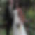 Photo de profil de Sonia Lelong