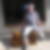 Photo de profil de Francis Gaudino