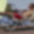 Photo de profil de Alexis Balandine