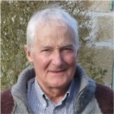 Photo de profil de Pierre Fabregue