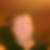 Photo de profil de Christophe Logez