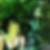 Photo de profil de Genevieve Cron