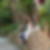 Photo de profil de Corinne Burle