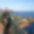 Photo de profil de Patrick Roddier