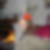Photo de profil de Alain Lorcy