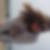Photo de profil de Auriane Gibrat