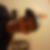 Photo de profil de Cédric Symphon