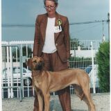 Photo de profil de Marie Louise Desinde