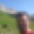 Photo de profil de Larbalete Frederic