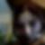 Photo de profil de Facna Mollet