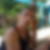 Photo de profil de Yvan Tillier