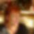 Photo de profil de Agnes Noirot