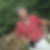 Photo de profil de Martial Butscher