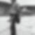 Photo de profil de Gerard Ryngaert
