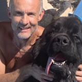 Photo de profil de Philippe Angelvy