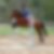 Photo de profil de Laurence Blanc