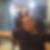 Photo de profil de Hamza Lakehal Ayat