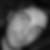 Photo de profil de Olivier Bodart