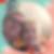 Photo de profil de Florence Curty