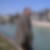 Photo de profil de Kamel Talbi