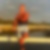 Photo de profil de Liberto Mur