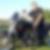 Photo de profil de Eddy Longuet