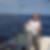 Photo de profil de Patrick Stref