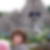 Photo de profil de CHRISTINE MENNECIER