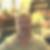 Photo de profil de Patrick Pinson