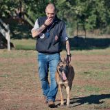 Photo de profil de Frédéric Gosnet