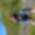 Photo de profil de Renee Lamouroux