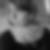 Photo de profil de Célia Barbier