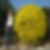 Photo de profil de Nicole Valentini